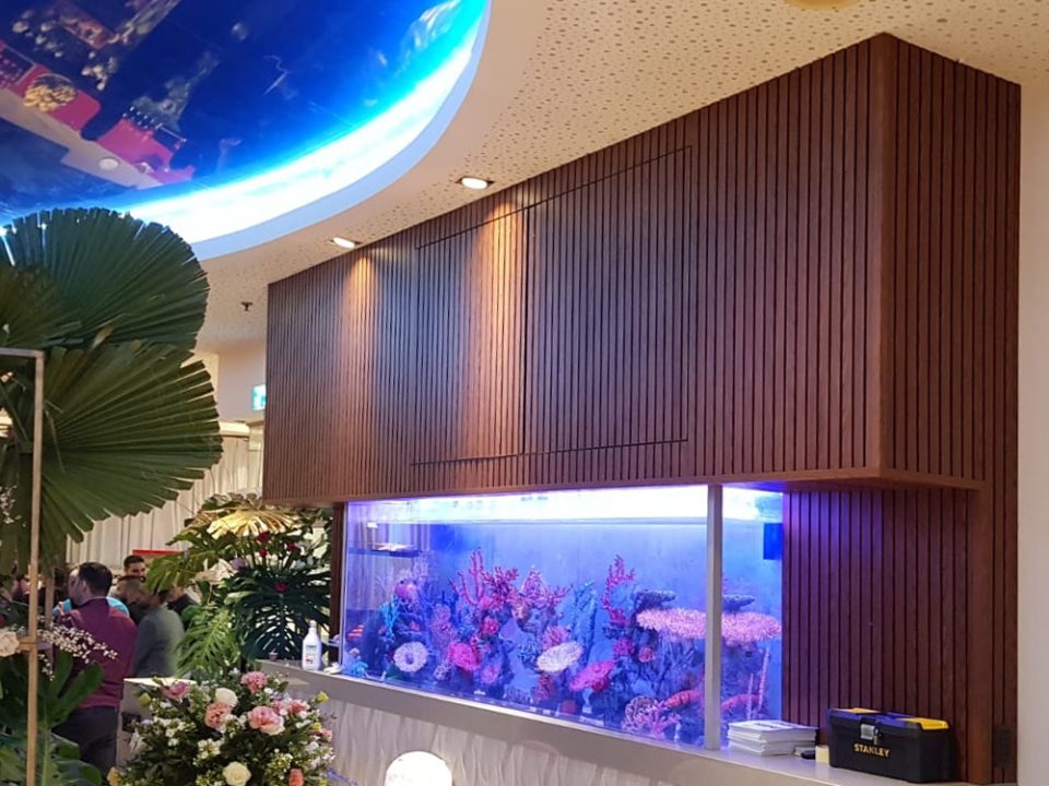 Aquarium-Wall.jpg